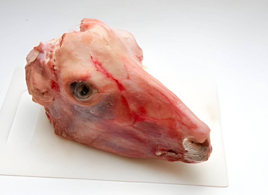 mutton head