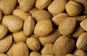 Hard shell almonds