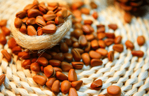 chinese pine nuts