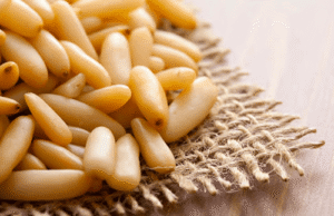 mediterranean pine nuts