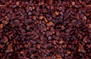 round raisins
