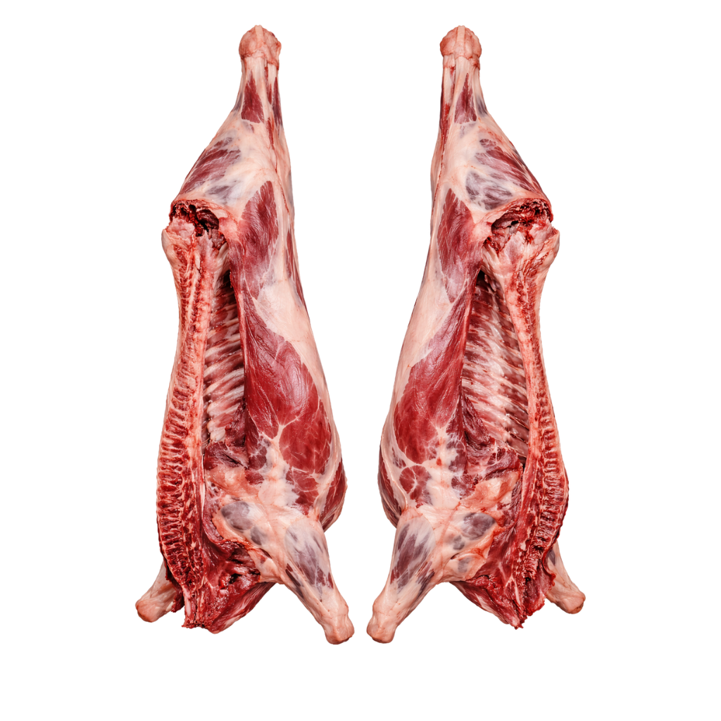 Half Carcass