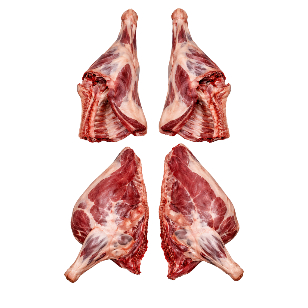 Quarter Carcass
